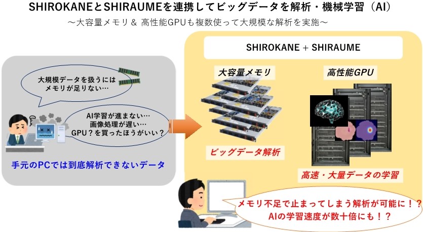 SHIRAUMESHIROKANE イメージ_230412_2 SHIROKANE+SHIRAUME