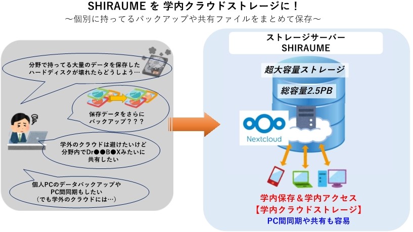 SHIRAUMESHIROKANE イメージ_230412_3 SHIROKANE+SHIRAUME